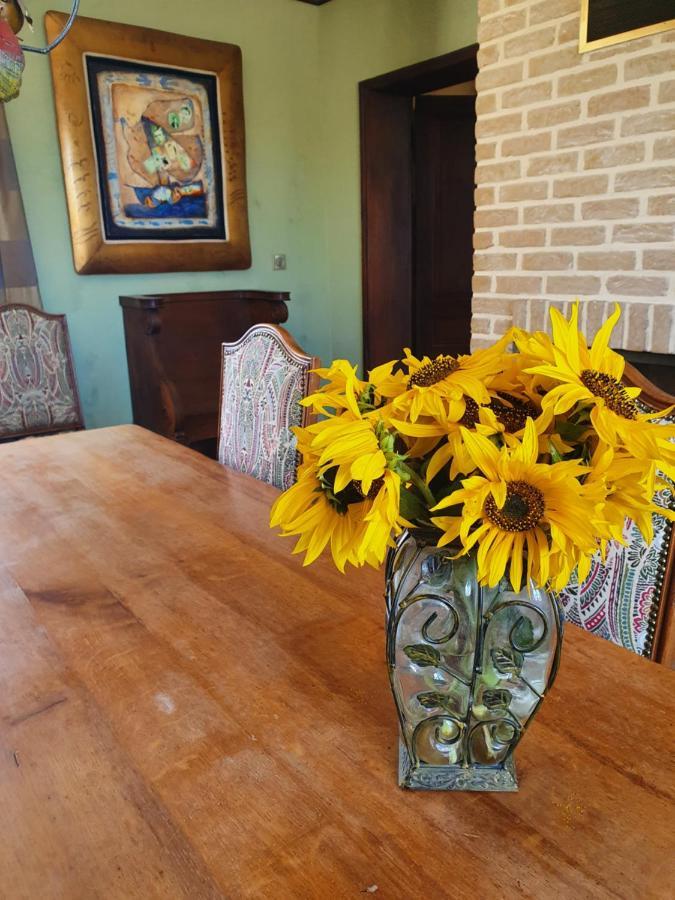 Le Clos De Tournes Echinghen エクステリア 写真