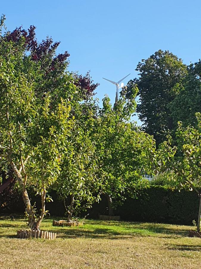 Le Clos De Tournes Echinghen エクステリア 写真