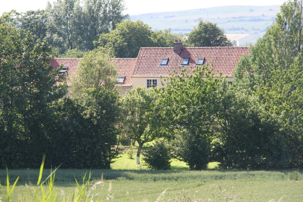 Le Clos De Tournes Echinghen エクステリア 写真