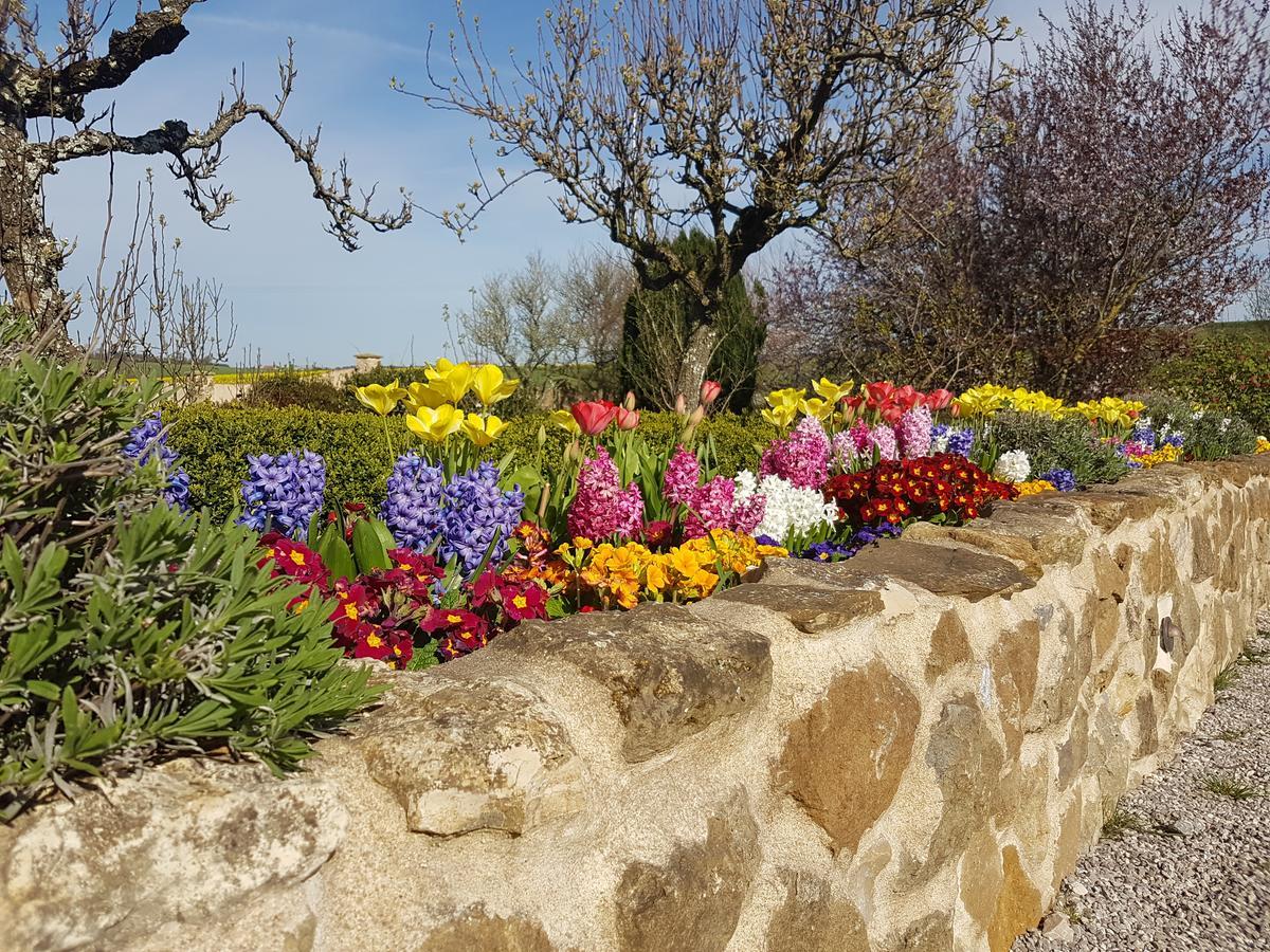 Le Clos De Tournes Echinghen エクステリア 写真